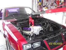 Customer Image
