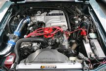 Customer Image